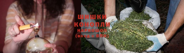 дмт Нягань