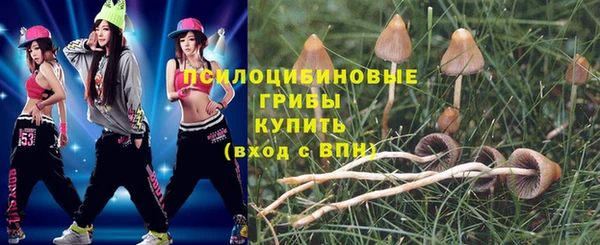 дмт Нягань