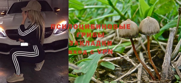 дмт Нягань