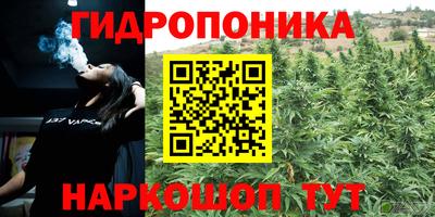 ECSTASY Гатчина