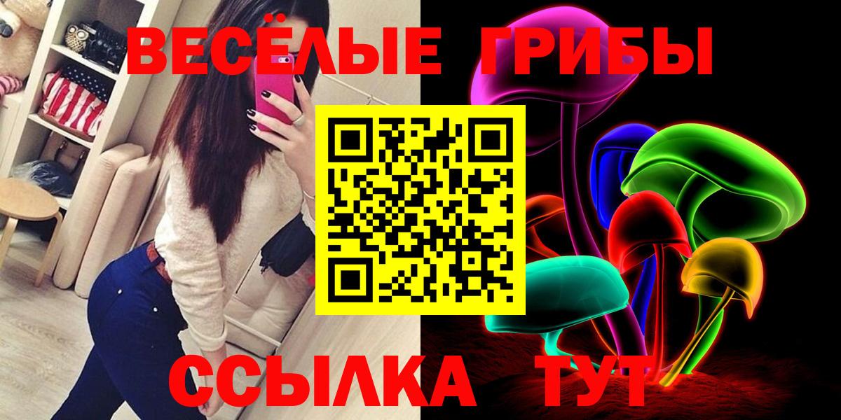 Псилоцибиновые грибы Psilocybine cubensis  Псилоцибиновые грибы Psilocybe  Вход с VPN  Павлово 